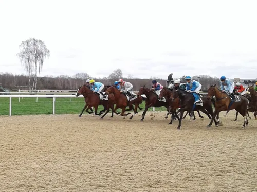 Hippisme : nos préférés pour ce dimanche 6 juin